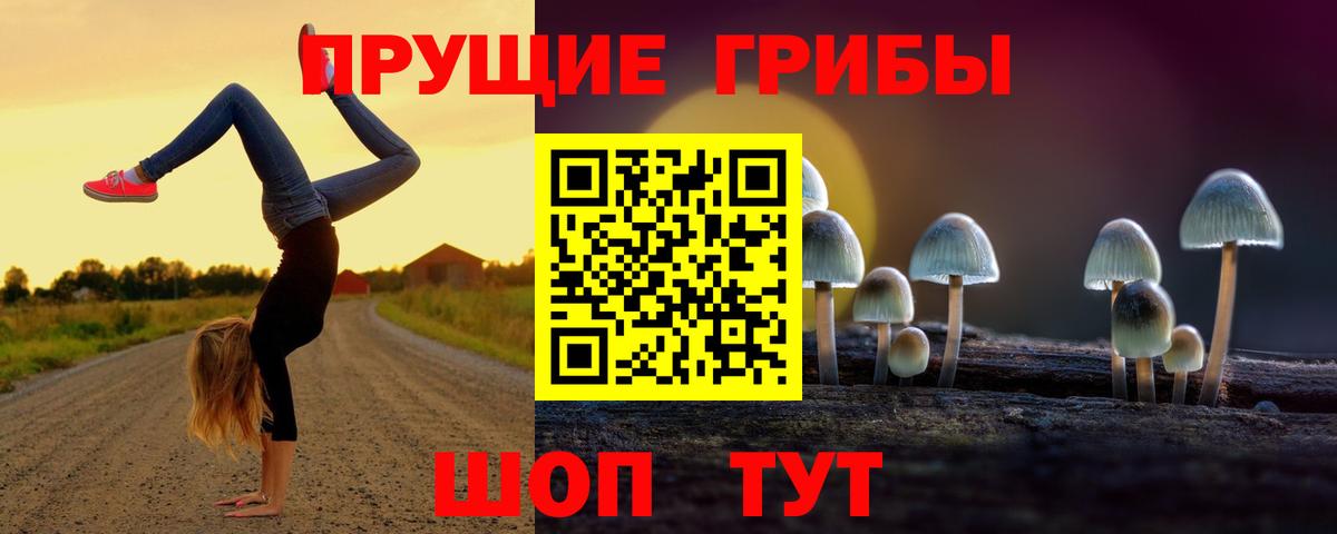 Галлюциногенные грибы Cubensis Алексеевка