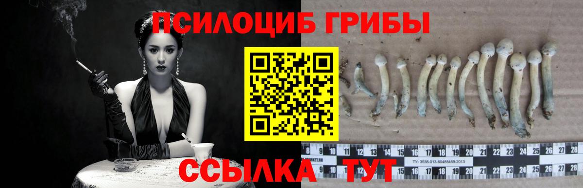 Галлюциногенные грибы Magic Shrooms  Вход с VPN  Галлюциногенные грибы Psilocybe  Алексеевка 