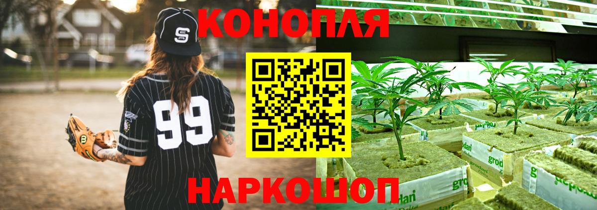 Каннабис ГИДРОПОН  Бошки марихуана Ganja  Вход с VPN  Алексеевка 